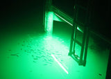 Neptune underwater dock lighting system